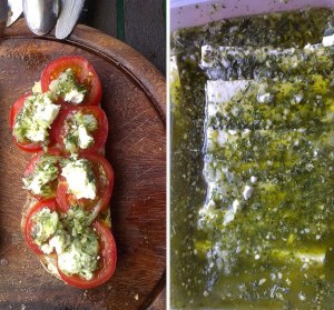 Tomaten mit Scharfskäse