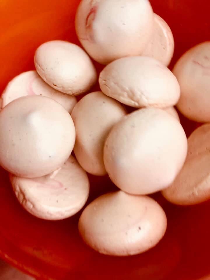 Dieses Bild hat ein leeres alt-Attribut; sein Dateiname ist img_0509.jpg.